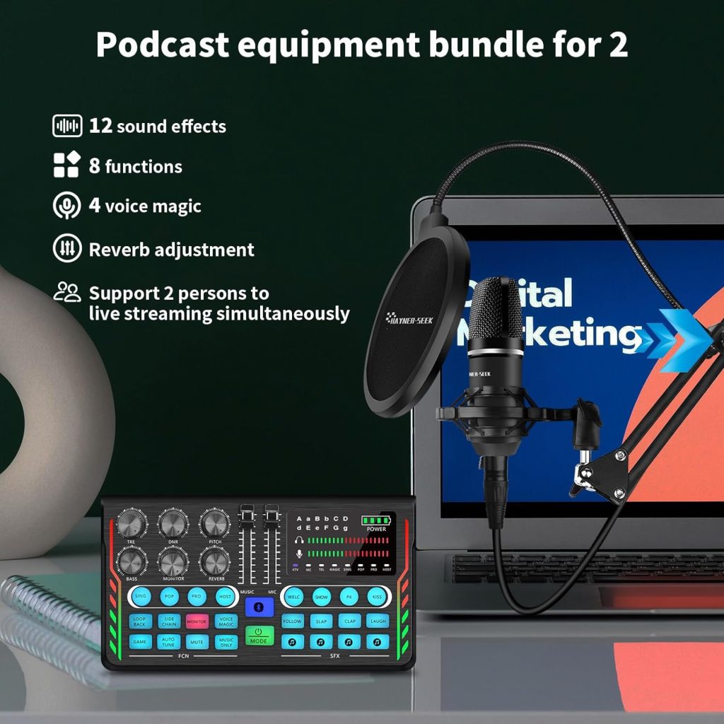 Hayner-Seek Podcast Equipment Bundle for 2, All-in-One DJ Mixer with 3.5mm Diaphragm Condenser Microphone for Live Streaming, Podcast Recording,Gaming, Youtube, PC, Smartphone